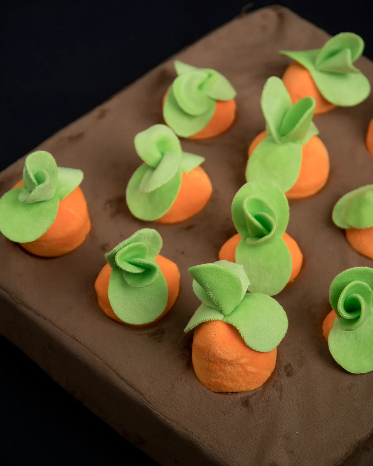 Detailed view of the plush carrots and activity pockets